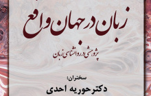 زبان در جهان واقع