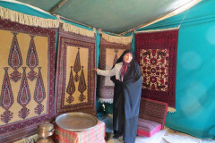 به مناسبت ایام دهه فجر:نمایشگاه صنایع دستی،جاذبه های گردشگری و سوغات استان خراسان جنوبی08