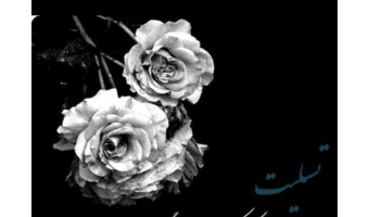 پیام تسلیت رئیس پژوهشگاه به مناسبت درگذشت مادر محترمه آقای دکتر محمدعلی فتح الهی؛