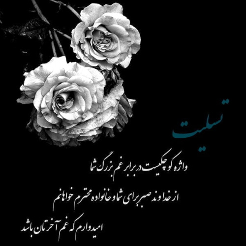 پیام تسلیت رئیس پژوهشگاه به مناسبت درگذشت همکار گرامی سرکار خانم لیدا ملکی