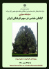 نمایشگاه مجازی «گیاهان مقدس در سپهر فرهنگی ایران»