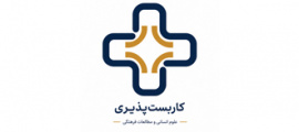 کاربستپذیری علوم انسانی و مطالعات فرهنگی