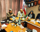 دیدار ریاست پژوهشگاه علوم انسانی و مطالعات فرهنگی با اعضای هیئت علمی و پژوهشگران پژوهشکده دانشنامه‌نگاری