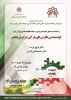 برگزاری نشست «گونه‌شناسی نگارش‌های قرآنی در ایران معاصر» به مناسبت هفته پژوهش