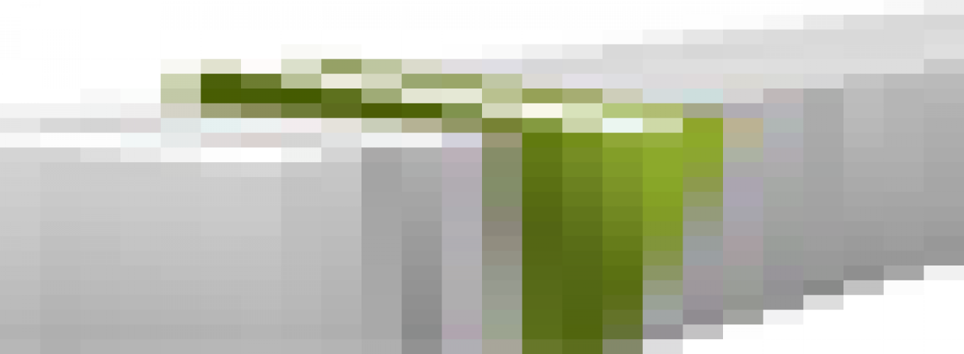 خانم دکتر فرشته موتابی، استاد کارگاه