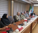 دیدار عمومی رئیس پژوهشگاه علوم انسانی و مطالعات فرهنگی با اعضای پژوهشکده زبان و ادبیات