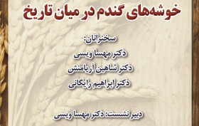 خوشه‌های گندم در میان تاریخ ۳۱ فروردین ۱۴۰۴