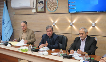 بررسی فعالیتهای تفصیلی پژوهشکده دانشنامهنگاری